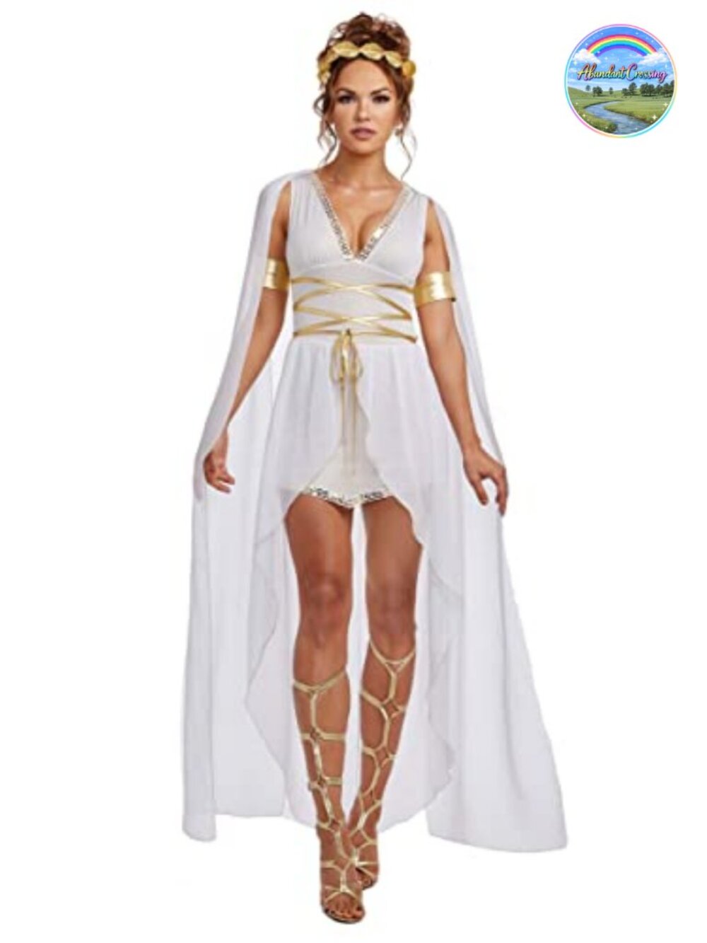 Womens Venus Greek Goddess Costume Sheer Over Skirt Chiffon Sashes 3-Piece